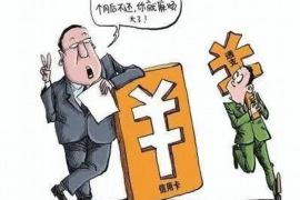 囊谦要账公司更多成功案例详情